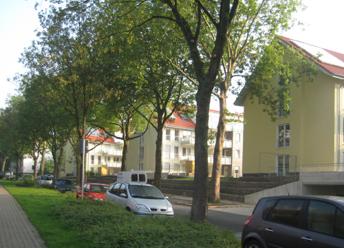 Meier-Ebbers_Stadt_Halterner-Viertel_Gebaut4